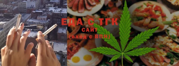 индика Арсеньев