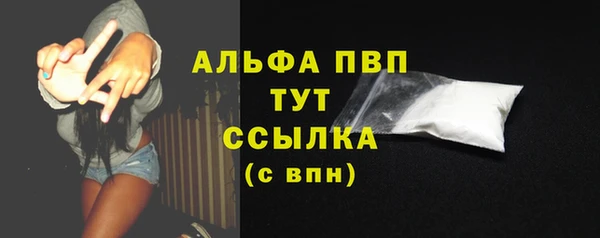 прущие грибы Балабаново