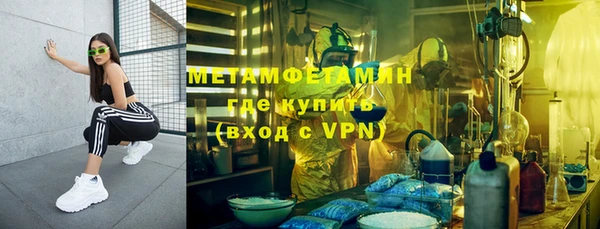 прущие грибы Балабаново