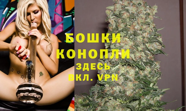 эйфоретик Аркадак