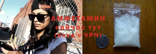индика Арсеньев