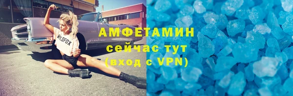 индика Арсеньев